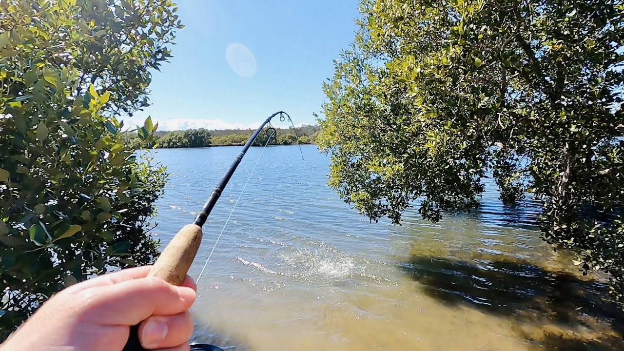 Рыбалка на камбалу в Брисбене — массу удовольствия!