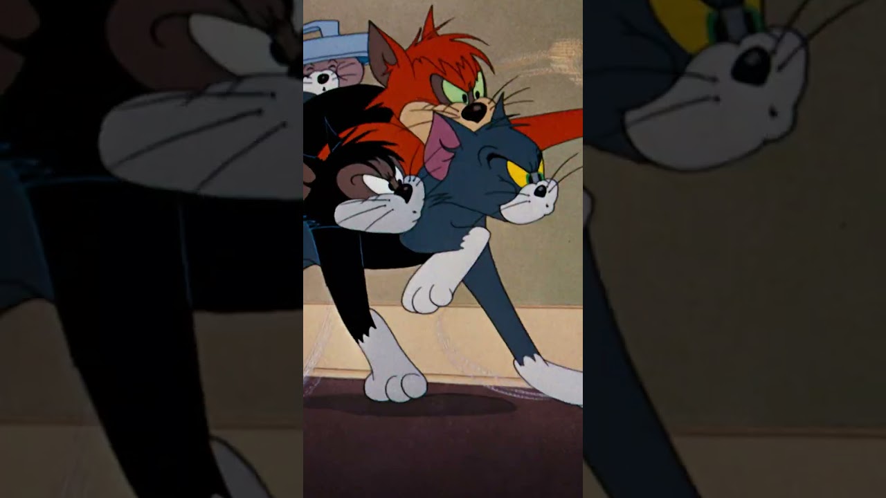 Tom's House Party | Tom and Jerry |  @BoomerangUK | #shorts