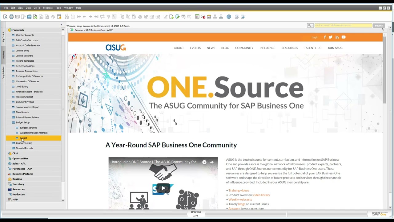 15 Minute Fundamentals for SAP Business One - The Basics of SAP Business One Budgets