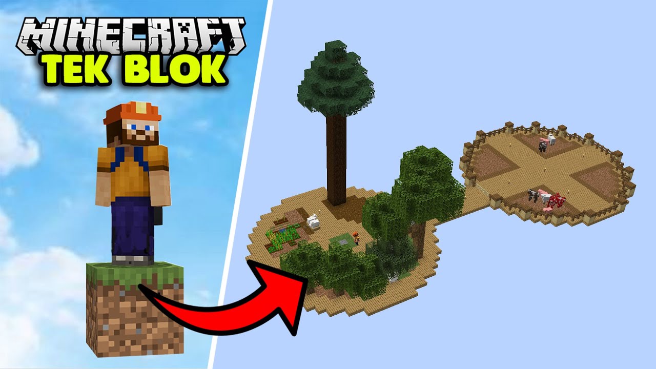 G&Uuml;ZEL BİR BAŞLANGI&Ccedil;! | Minecraft TEK BLOK SKYBLOCK | B&ouml;l&uuml;m 1