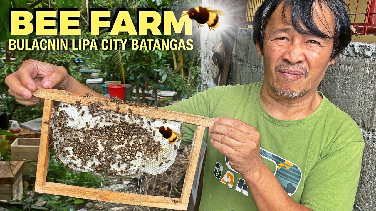 PoOD Trip - Bee Farm 🐝100% Pure Natural Honey 🍯 Honey Pollen | Bulacnin Lipa Batangas Philippines