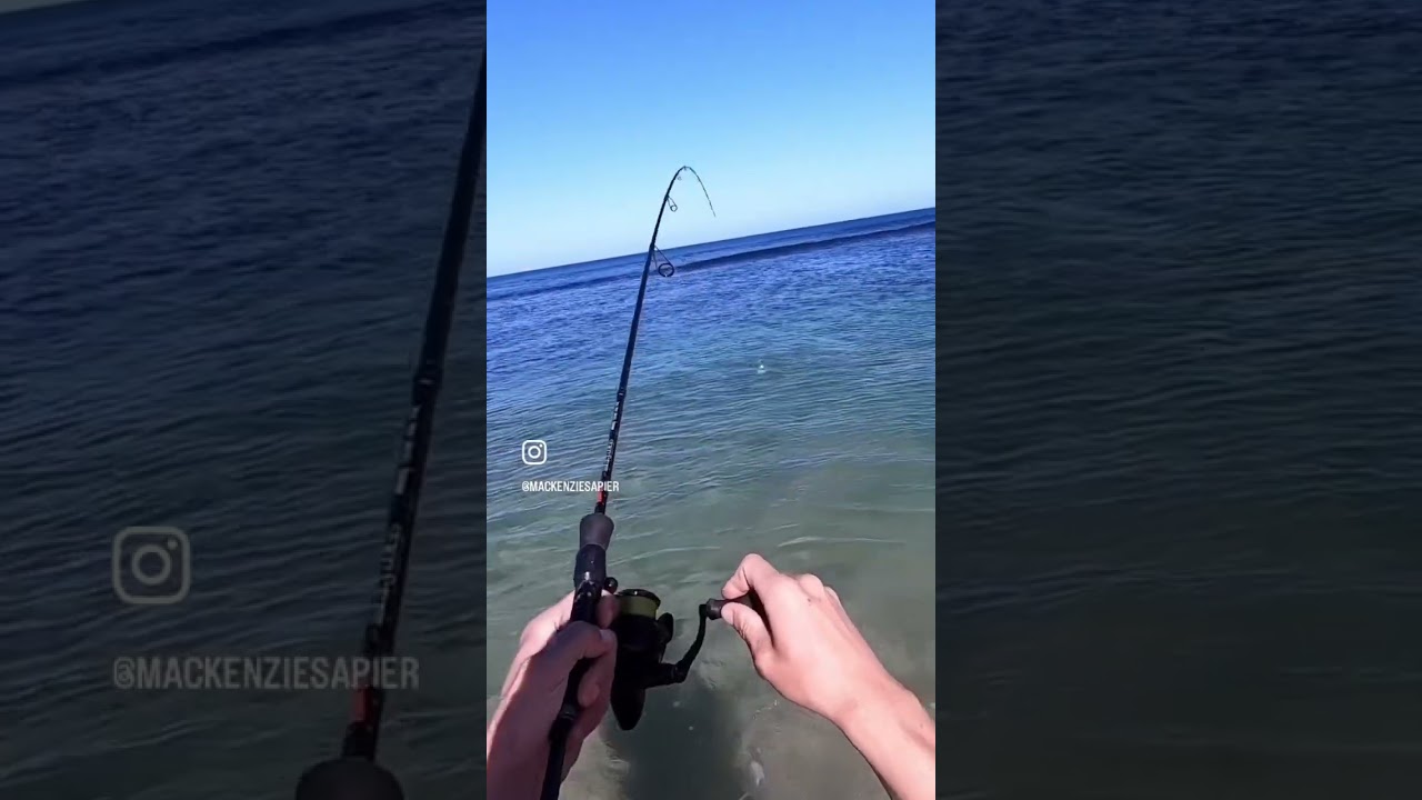 Robust garfish in Western Australia. Can&rsquo;t wait to target these again.