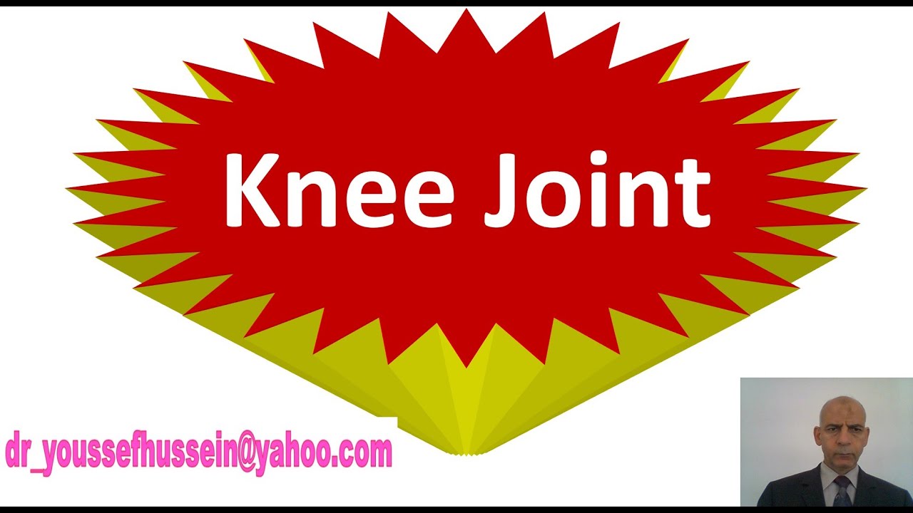 26. Knee joint | Bursa | Cruciate ligaments | Menisci |  Locking | unlocking | Anastomosis