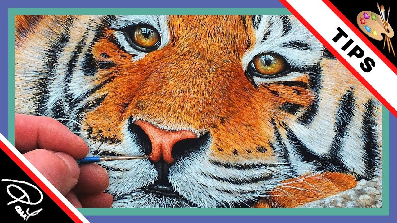 Watercolour Wednesday! Step by Step - How To Paint a Tiger's Nose