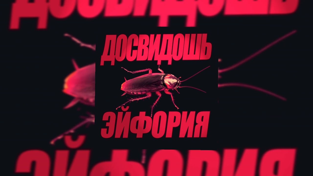 Эйфория, Лёха Никонов - Ничего больше нет [Live]