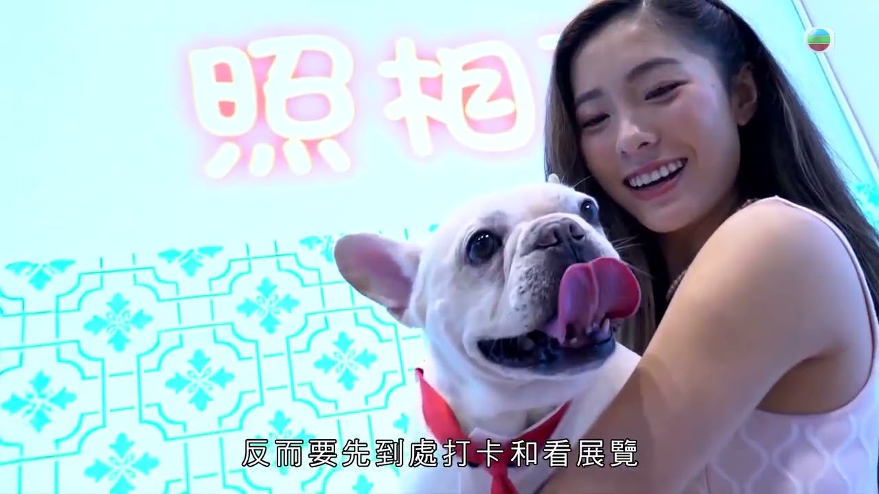🇭🇰 Hong Kong Pet Expo 2026｜Is the Pet Market Cooling Down? (2-Min Reality Check)