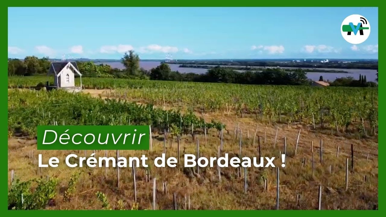Crémant de Bordeaux, les bulles de l’avenir du vignoble bordelais