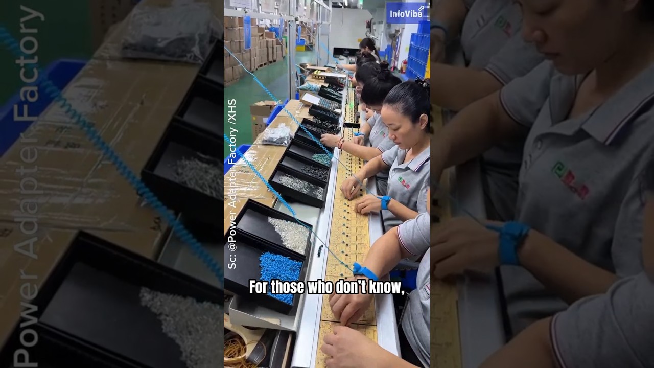 Why Do Factory Workers Wear This? The Truth About Anti-Static Bracelet! #funfacts #infovibe