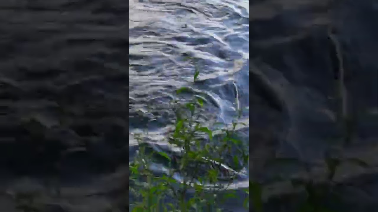 Pike attack! 