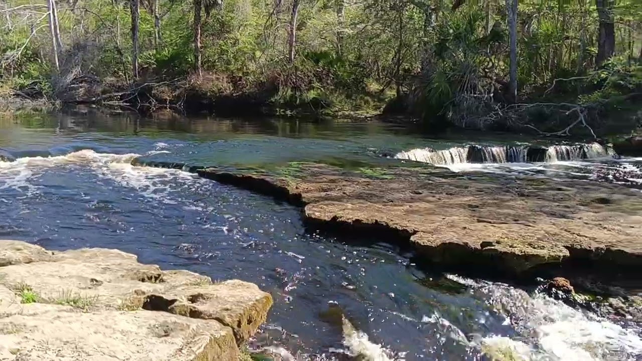 Steinhatchee Falls #creator #florida #motivation 