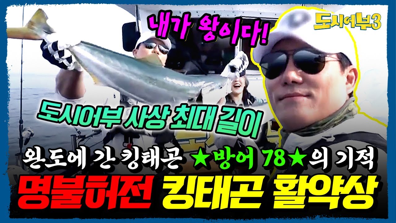 완도에서 방어 78cm 힛트! 도시어부3 킹태곤 또 전설 썼다🔥 낚시왕 클래스 인증한 역대급 조황쇼🎣 | 도시어부3 10회