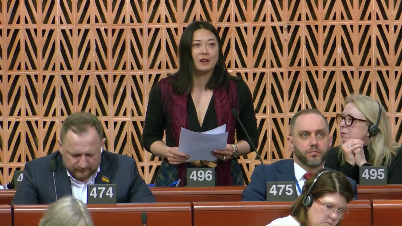 Parliamentary Assembly of the Council of Europe - Intervention on Gender-Based Violence