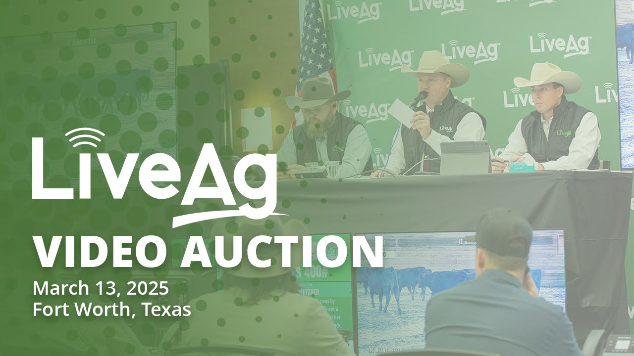 LiveAg's March 13th Video Auction