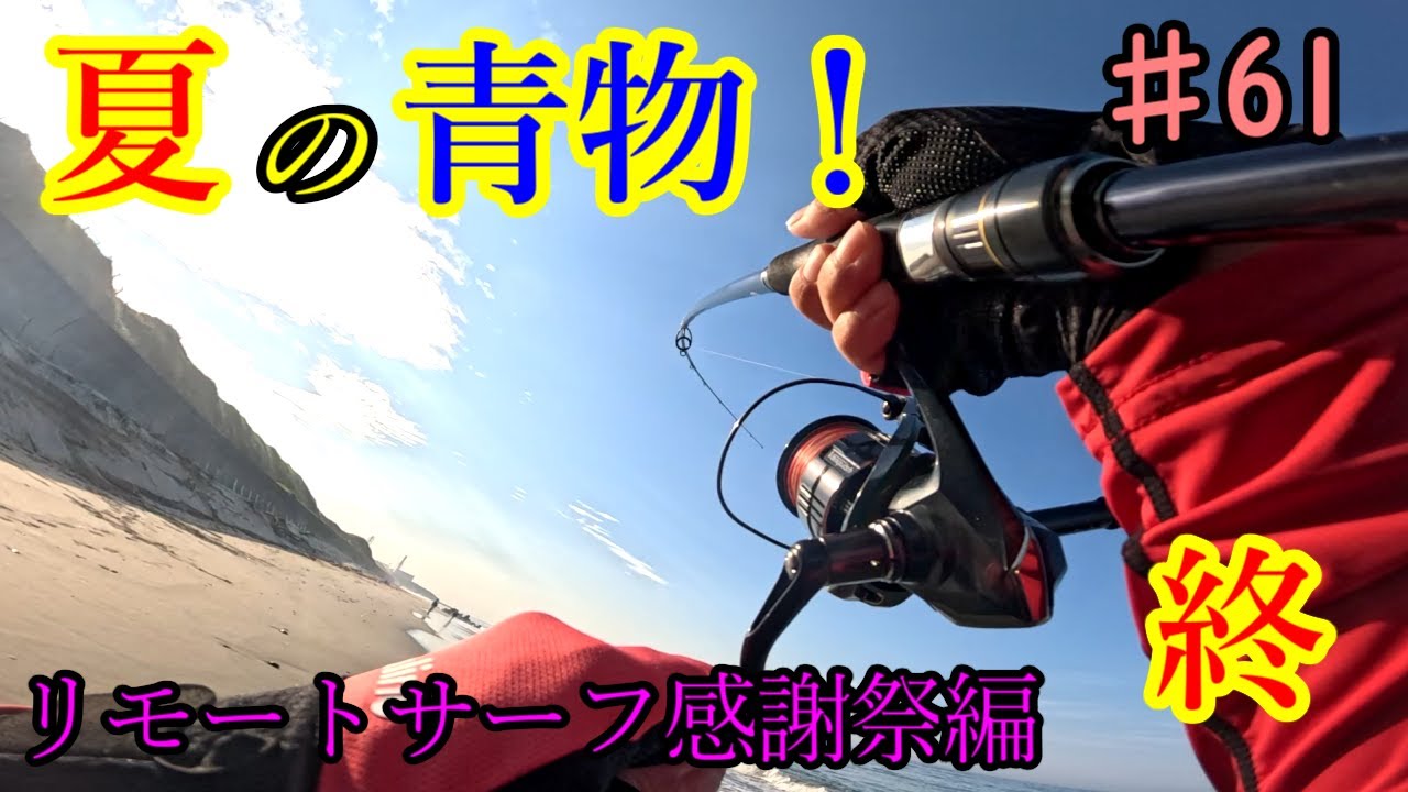 遠州サーフに行ったら夏の青物がむっちゃ釣れた