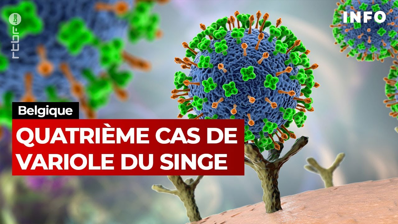 Variole du singe : un quatri&egrave;me cas d&eacute;tect&eacute; &agrave; la KU Leuven - JT RTBF