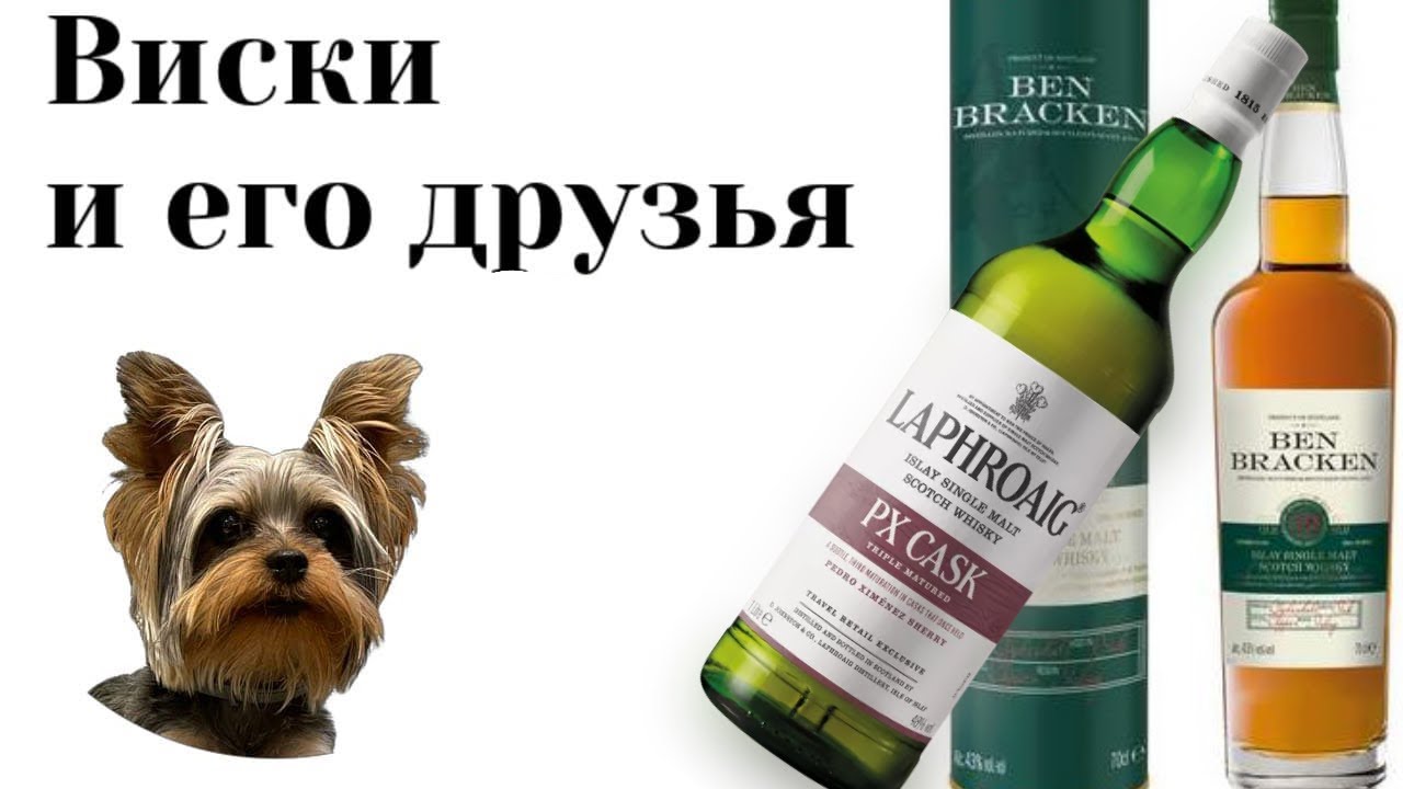 Laphroaig PX   Ben Bracken 19 Islay