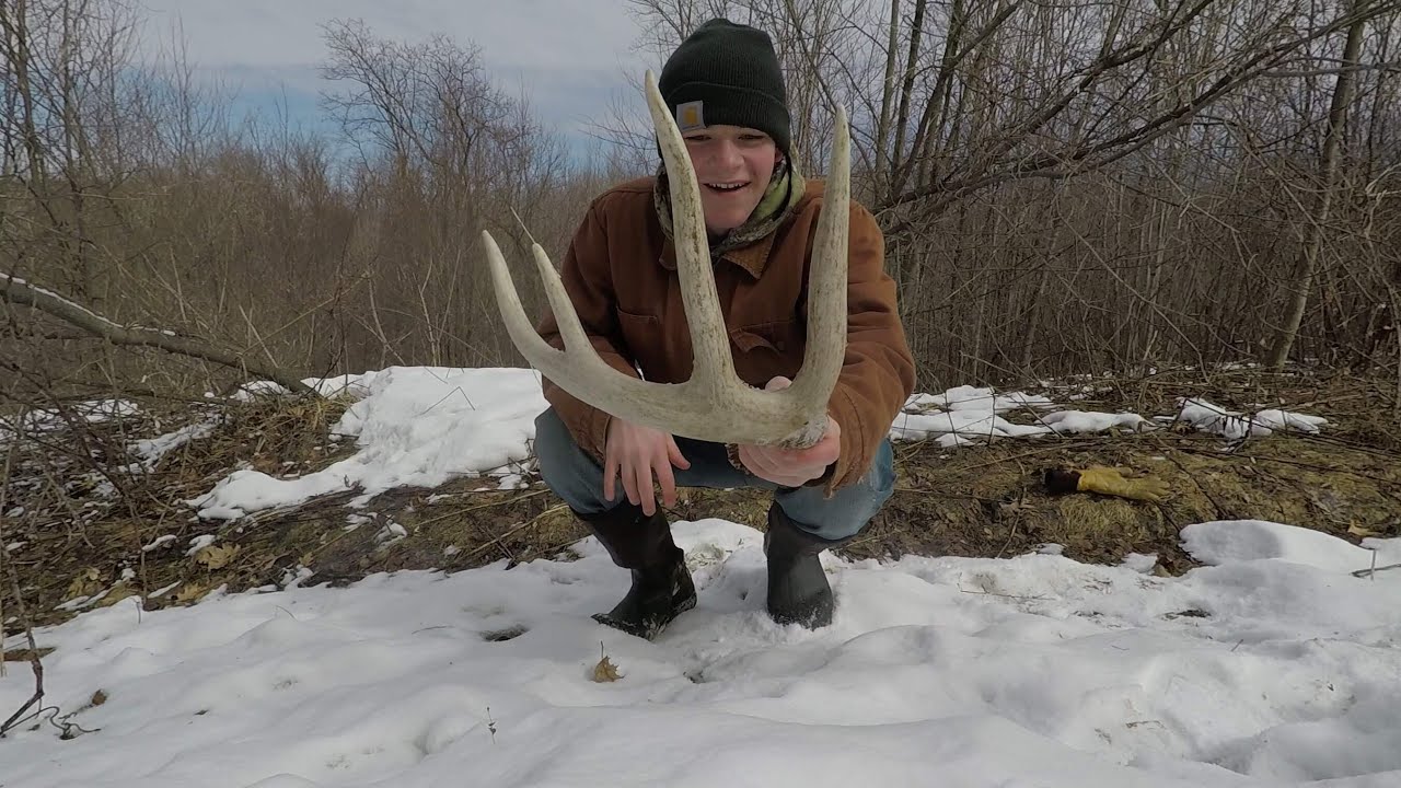 GIANT ANTLERS!! Shed Hunting 2020 Wisconsin