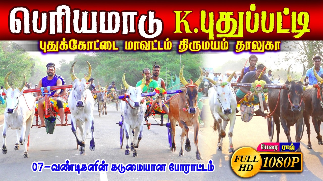 கே.புதுப்பட்டி பெரியமாடு (25.02.2023) பந்தயம்  #perai_raj_digital #reklarace2026