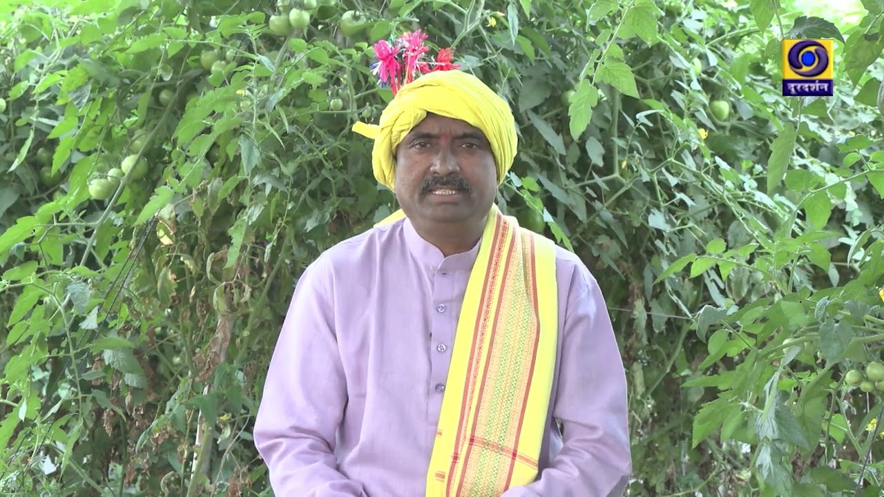 KRISHI DARSHAN:- Tamatar Ki Kheti Se Atirikt Labh , Dated - 16.01.2026