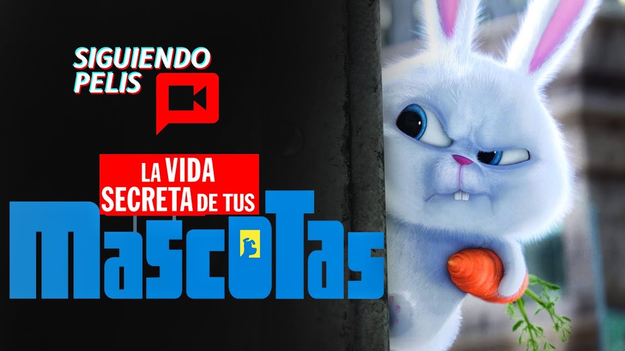 LA VIDA SECRETA DE TUS MASCOTAS | PARTE 1 y 2 | EN 13 MINUTOS
