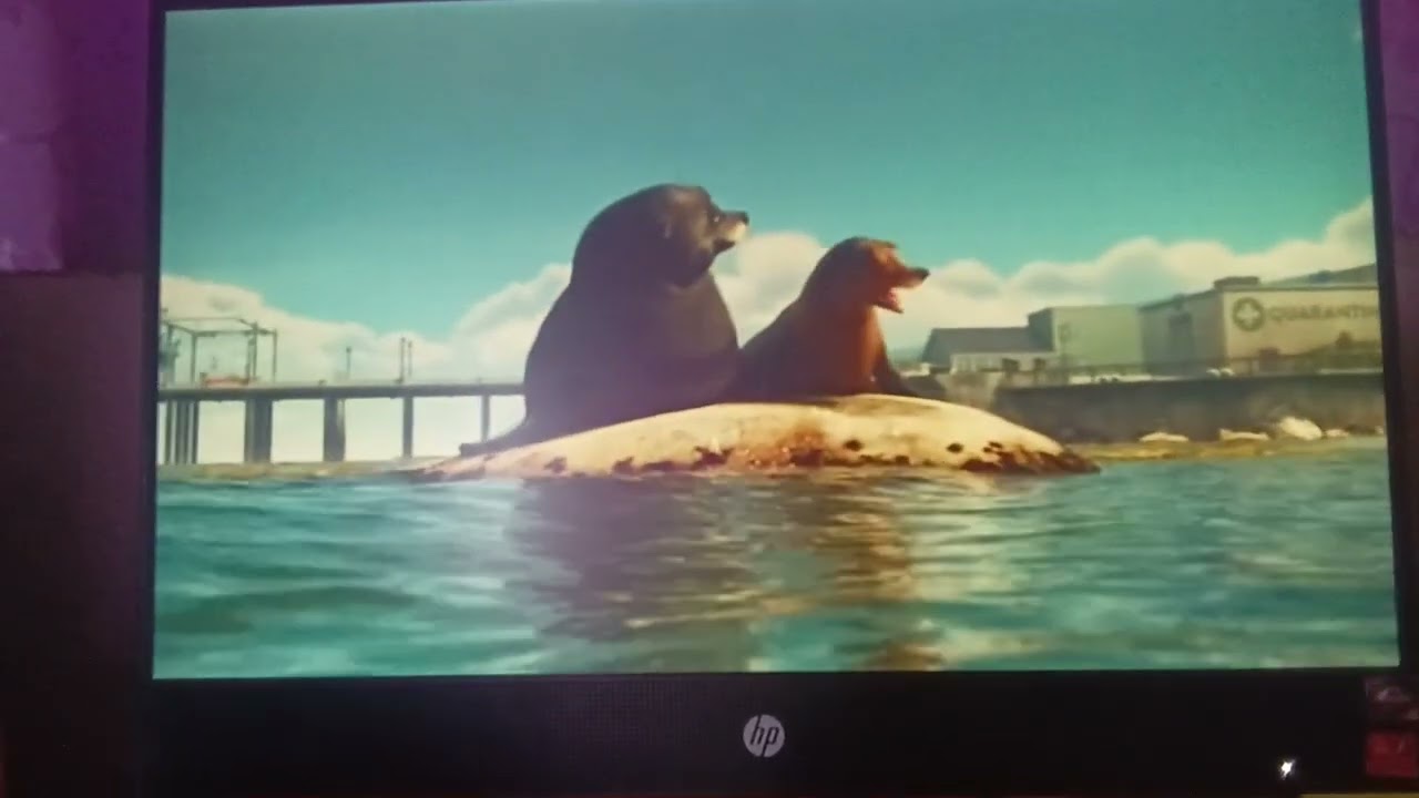 Findig Dory post-credit scene + cloising logos (17/12/2020)