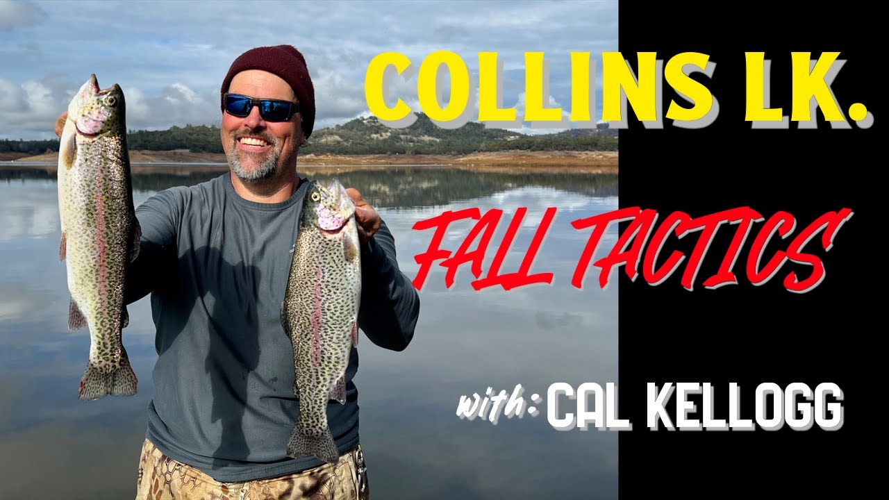 How To Score At Collins Lake This Fall: The Comprehensive Playbook!