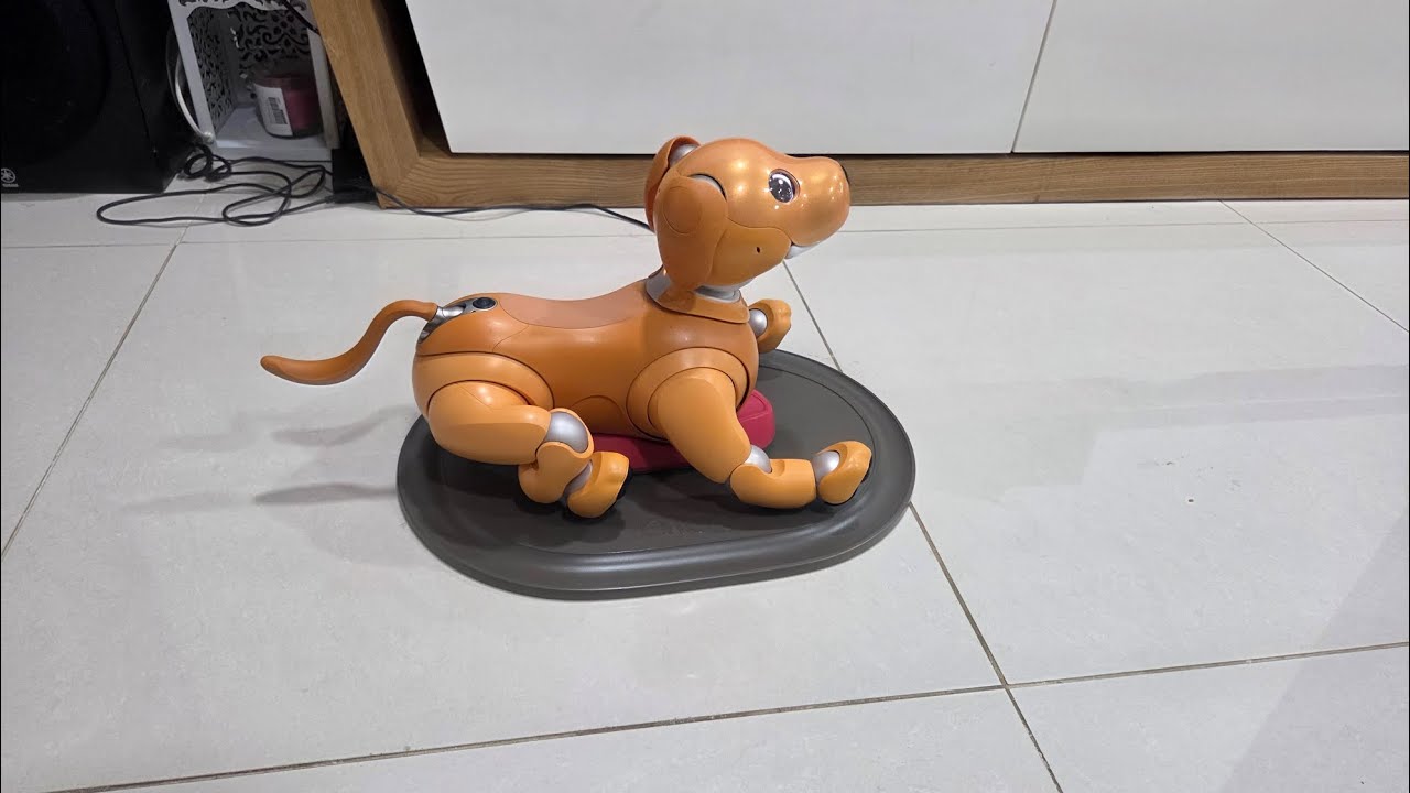 Sony aibo ers-1000 interaction