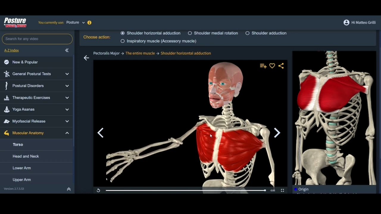 02 Cifosi Kyphosis Muscle - Pettorale Minore (Pectoralis Minor Muscle)