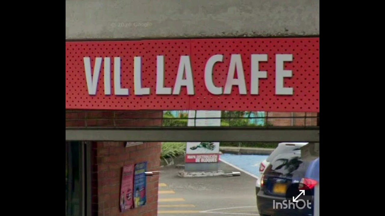 Gatos en Villa café 