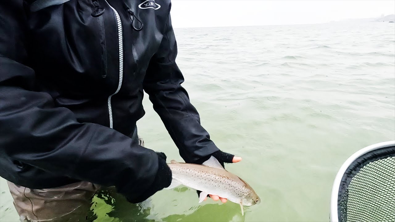 KUSTFISKE efter HAVSÖRING i Skåne - Premiären 2024
