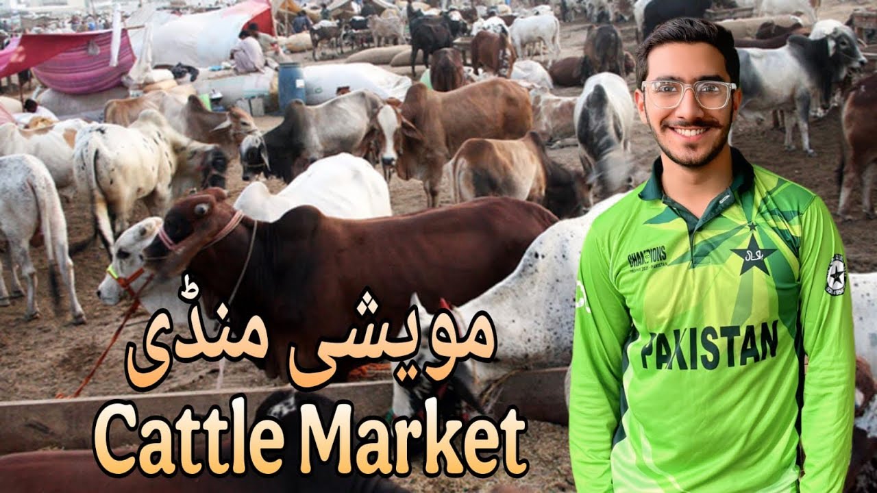 Alhamdullilah 4 ghanta Phirna k bad Qurbani La Li❤️‍🔥Maza Bht Aya Lakin Thak Ga💜#foryou #viralvideo