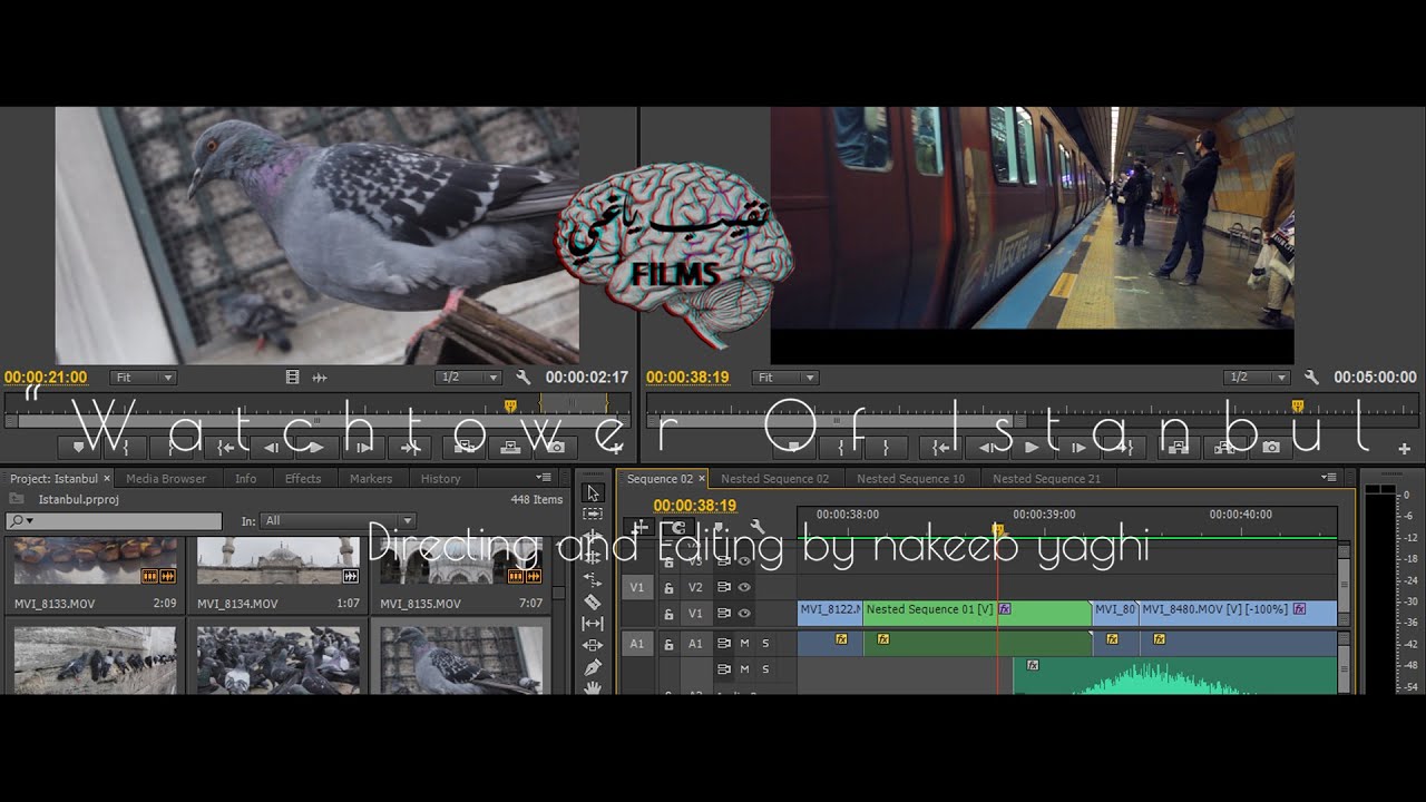 Watchtower of istanbul