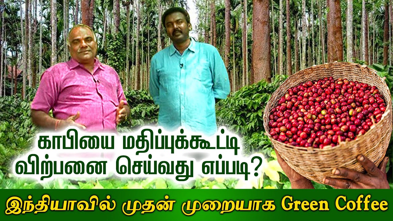 இந்தியாவிலேயே முதன் முறையாக Green Coffee | காபி மதிப்புக்கூட்டி விற்பனை | Coffee Cultivation