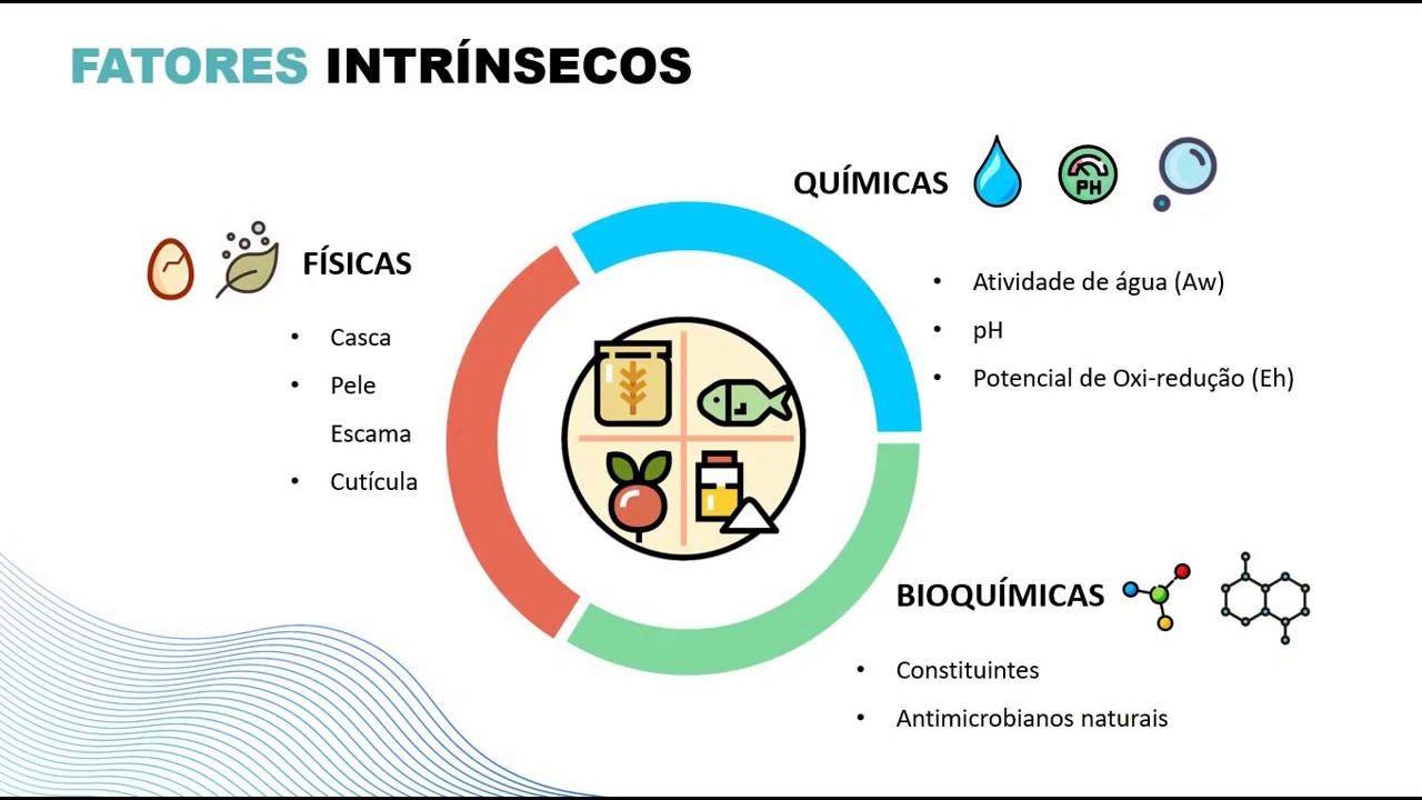 Videoaula 2  Fatores intrínsecos
