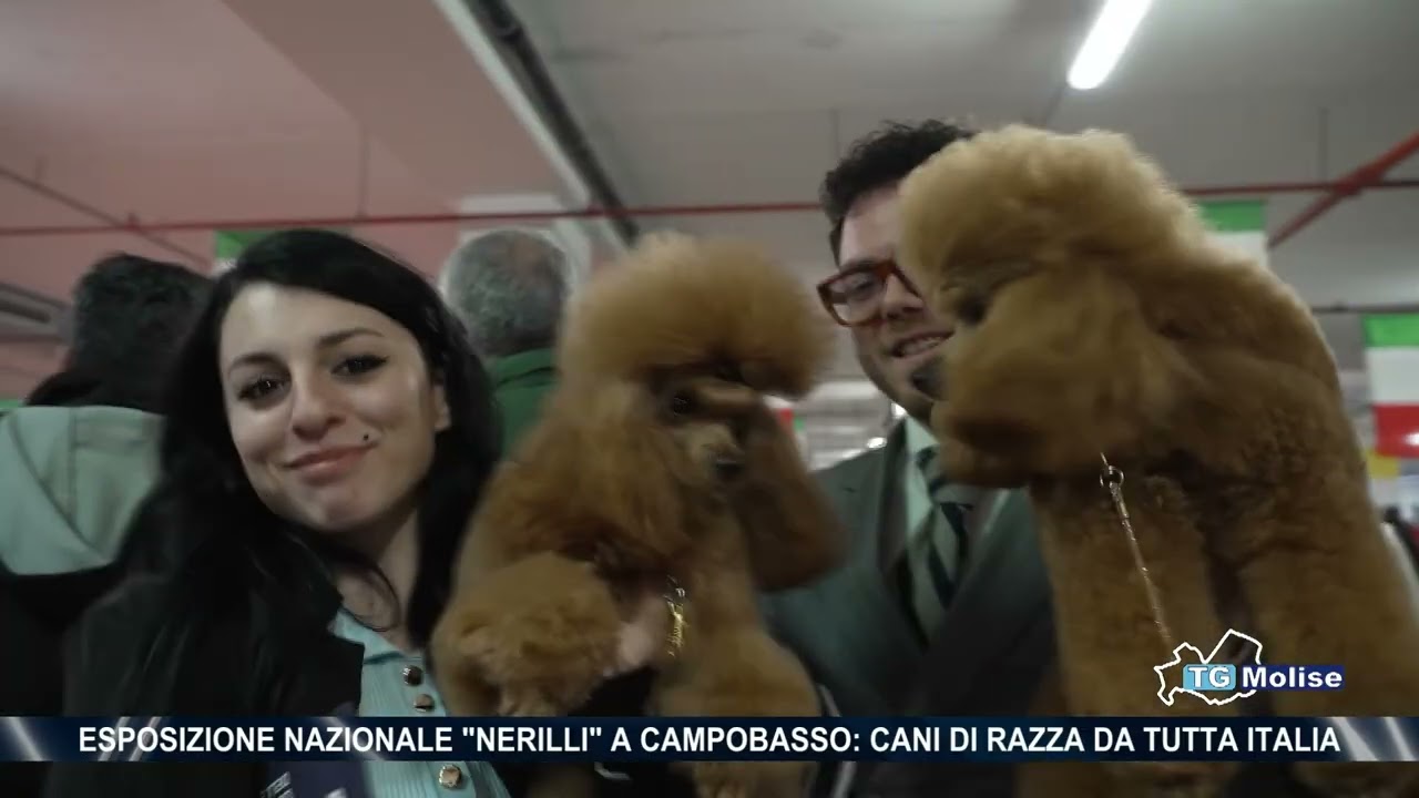 Esposizione nazionale 