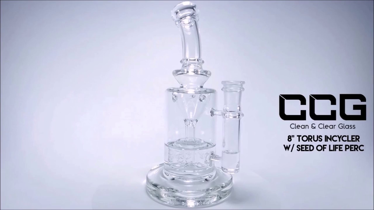 CCG 8