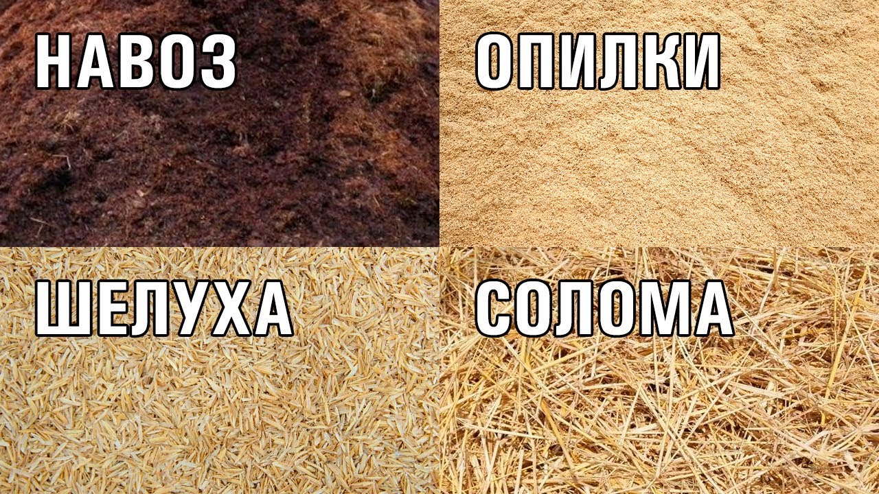 ПРЕИМУЩЕСТВА ВНЕСЕНИЯ В ПОЧВУ ОРГАНИЧЕСКИХ ВЕЩЕСТВ - НАВОЗ, ОПИЛКИ, СОЛОМА, ШЕЛУХА