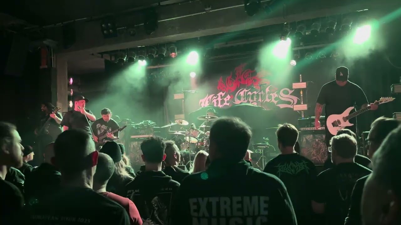 Life Cycles - Death from Above (live @ Karlsruhe, Germany)