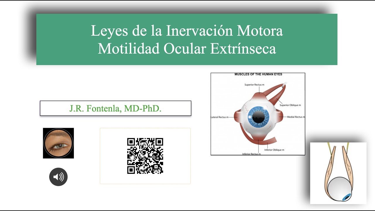 Leyes de la Inervación Motora Ocular. Motilidad Ocular Extrínseca.