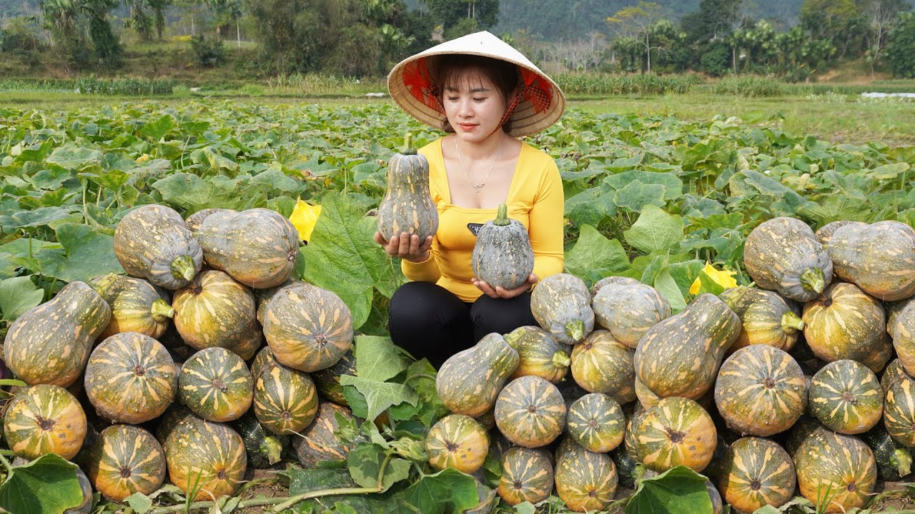 Harvesting Pumpkin Goes To Market Sell - Grind corn to feed fish and chickens | My Bushcraft