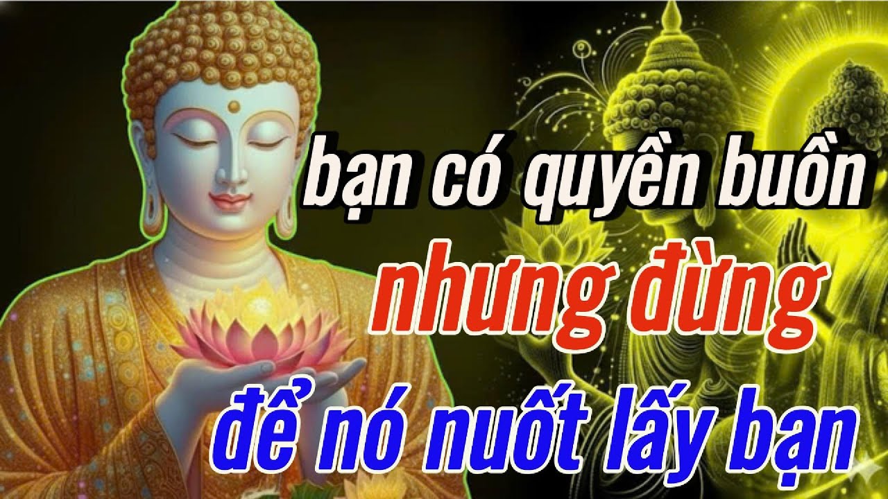 Phật Dạy: Bạn Có Quyền Buồn - Nhưng Đừng Để Nó Nuốt Lấy Bạn