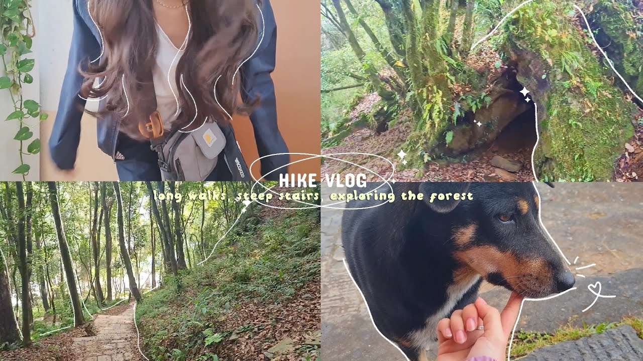 I went hiking after ages [VLOG] || long walks, steep stairs, exploring the forest