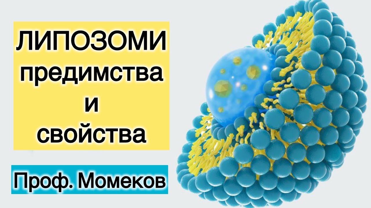 Витамини. Липозоми - форма за ефективно задоволяване на витаминни дефицити. Проф. Георги Момеков