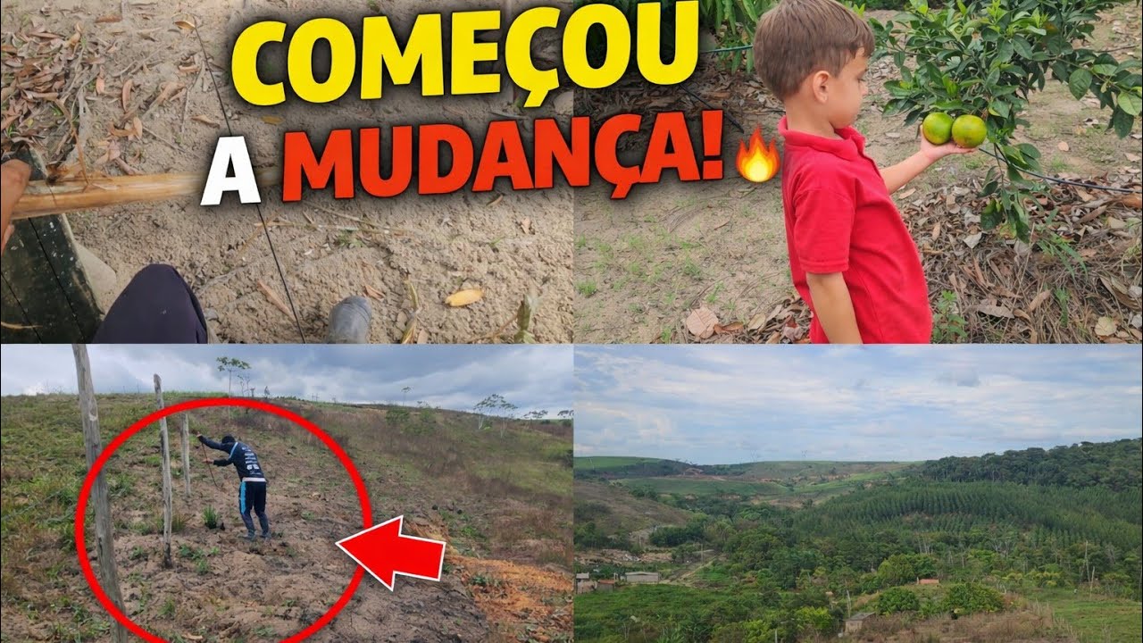 LIMPANDO A ÁREA DA PLANTAÇÃO NO SÍTIO | MUITO TRABALHO NO BRAÇO!