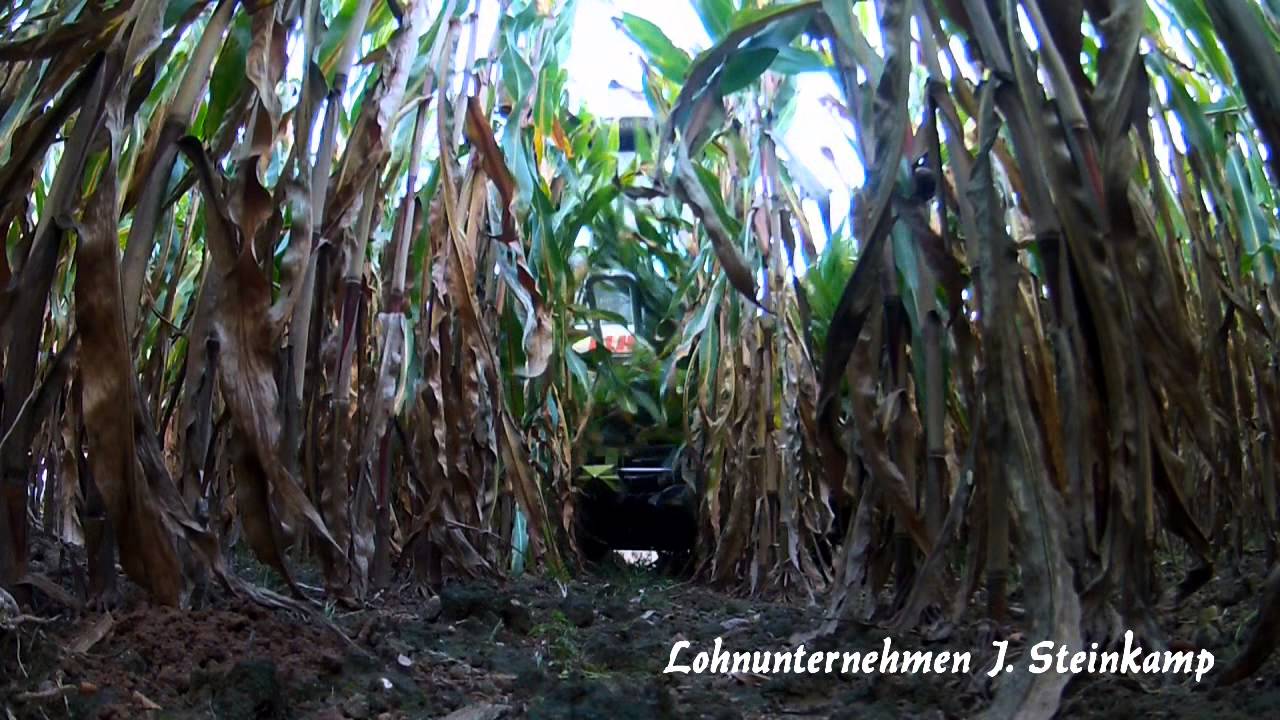 Maisernte Lohnunternehmen Steinkamp