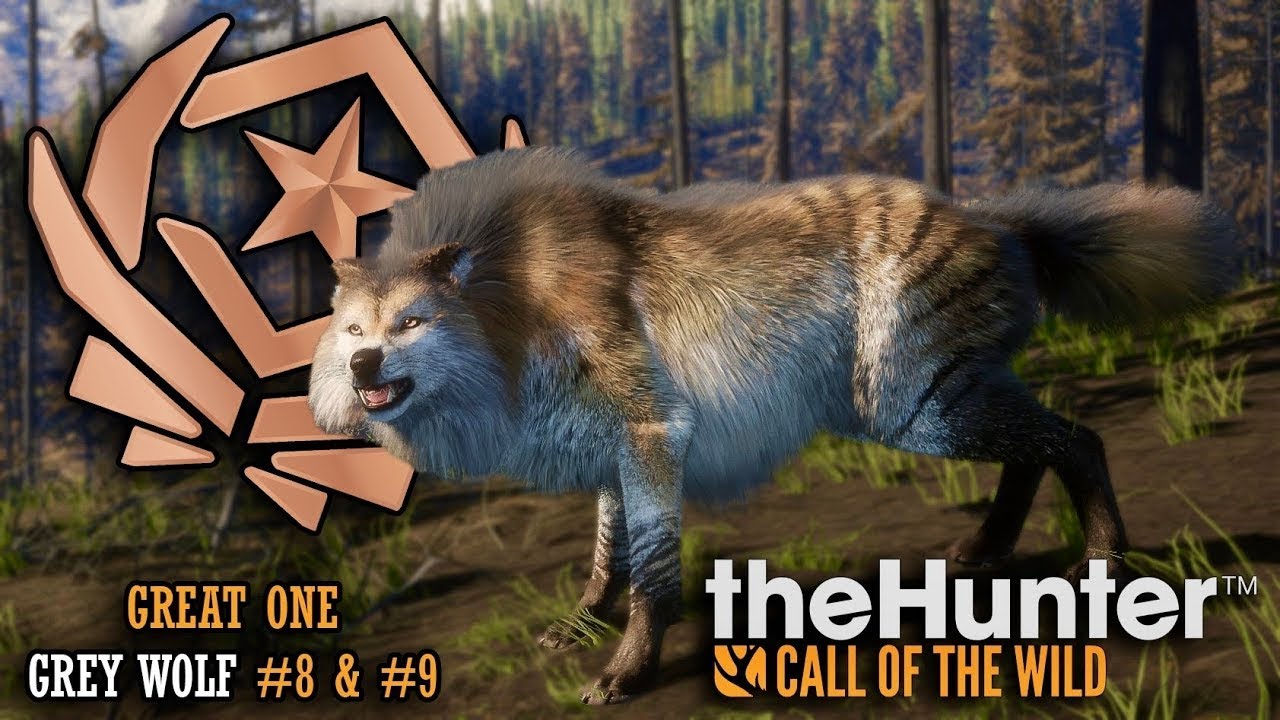 Setting up my wolf great one grind join the fun sub goal 173\200 pt 3 50 kills