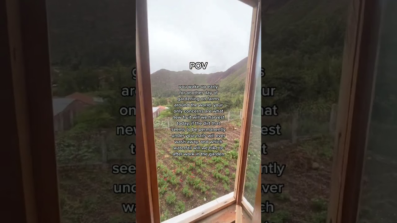 pov: you're farming around the world with WWOOF 🌿