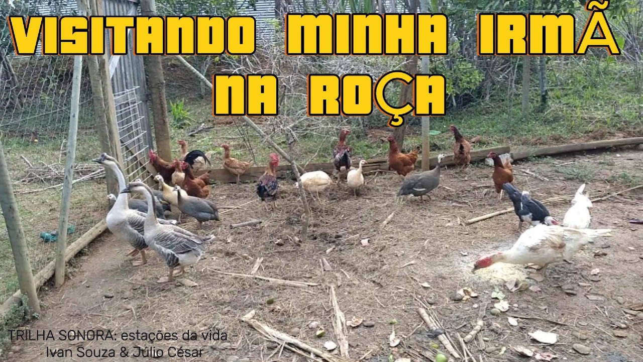 VISITANDO MINHA IRMÃ NA ROÇA