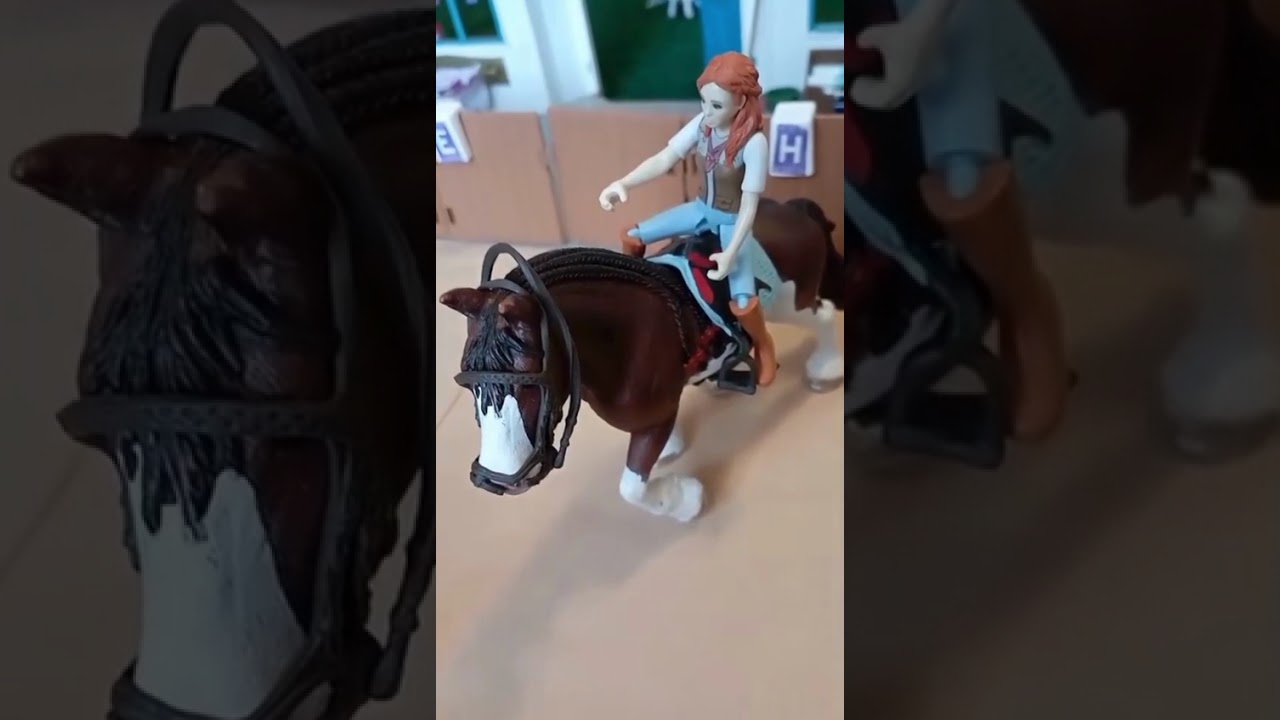 Ponyhof Pferdeglück 10 Arten Video
