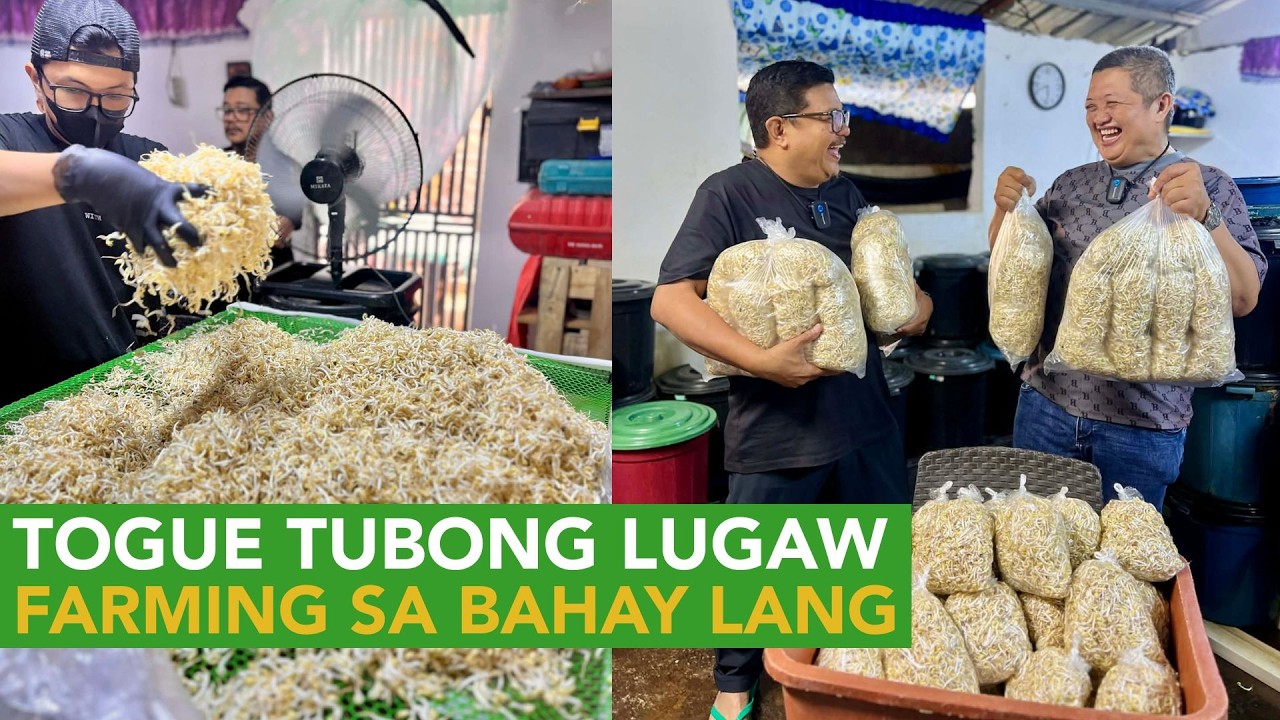 Anak ng Maykayang Muslim sa Quiapo: May Bagong Hamon ng Buhay sa Pagto-togue!